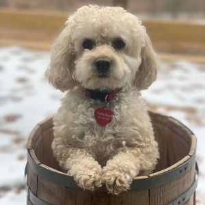 Meet your Posher, Mike